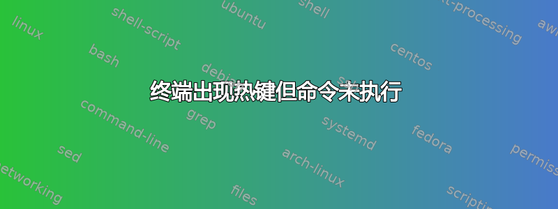 终端出现热键但命令未执行