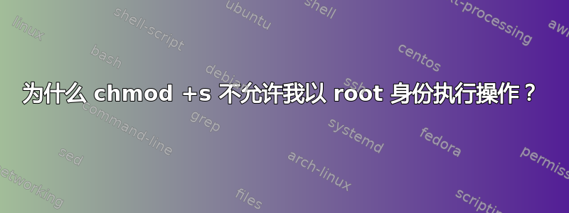 为什么 chmod +s 不允许我以 root 身份执行操作？