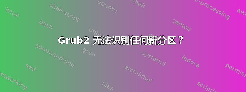 Grub2 无法识别任何新分区？