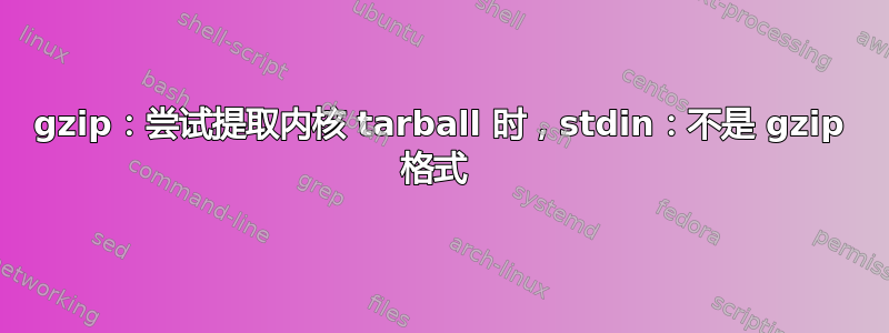 gzip：尝试提取内核 tarball 时，stdin：不是 gzip 格式 