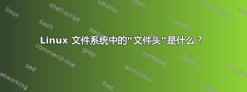 Linux 文件系统中的“文件头”是什么？