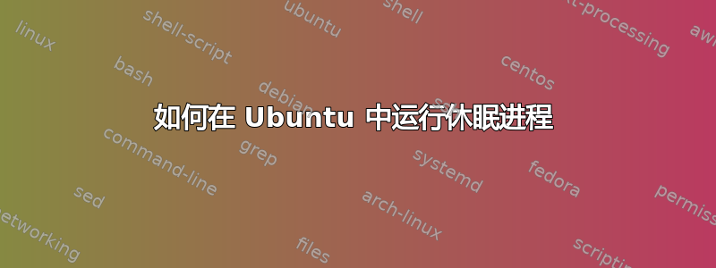 如何在 Ubuntu 中运行休眠进程