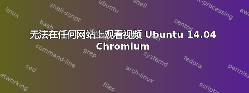 无法在任何网站上观看视频 Ubuntu 14.04 Chromium