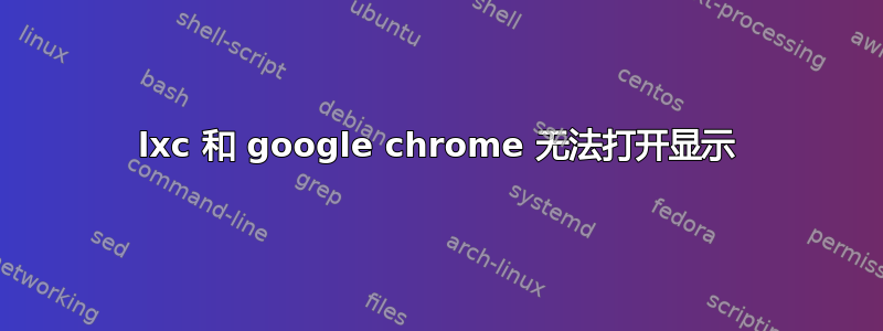 lxc 和 google chrome 无法打开显示