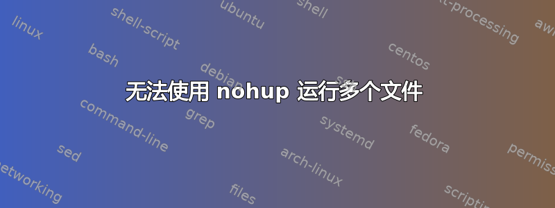 无法使用 nohup 运行多个文件