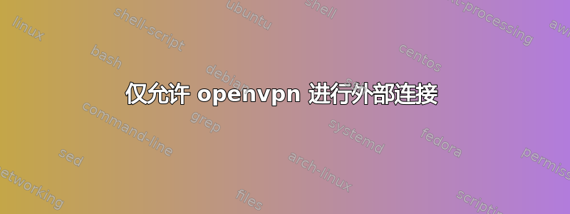 仅允许 openvpn 进行外部连接