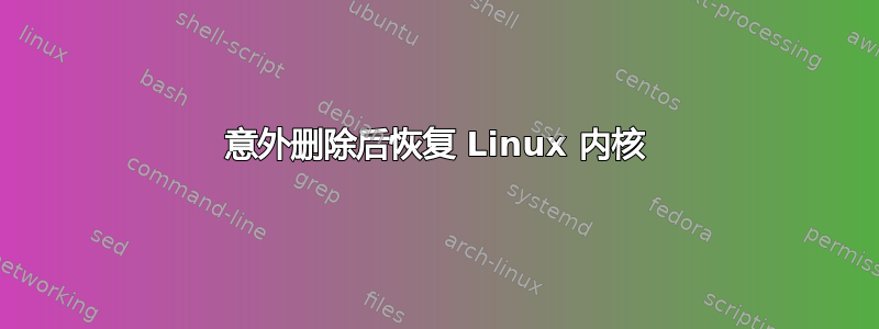 意外删除后恢复 Linux 内核