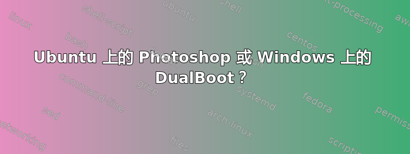 Ubuntu 上的 Photoshop 或 Windows 上的 DualBoot？