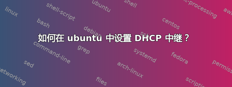 如何在 ubuntu 中设置 DHCP 中继？