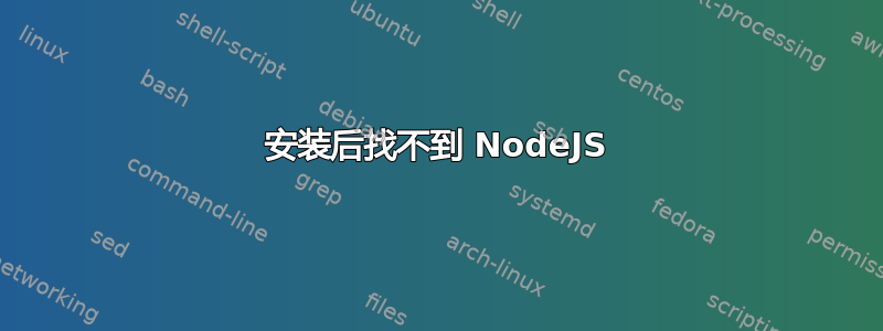 安装后找不到 NodeJS