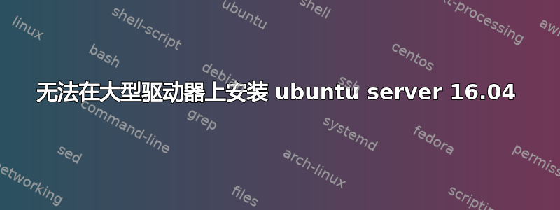 无法在大型驱动器上安装 ubuntu server 16.04