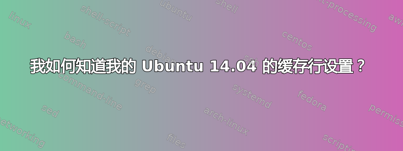 我如何知道我的 Ubuntu 14.04 的缓存行设置？