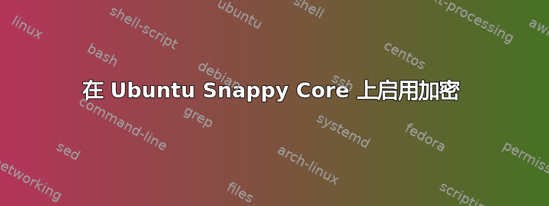 在 Ubuntu Snappy Core 上启用加密