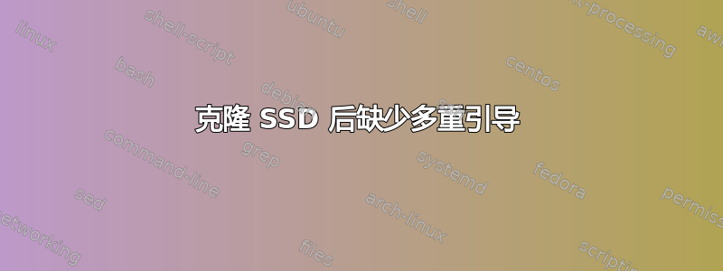 克隆 SSD 后缺少多重引导