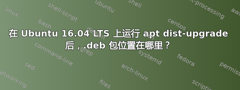 在 Ubuntu 16.04 LTS 上运行 apt dist-upgrade 后，.deb 包位置在哪里？