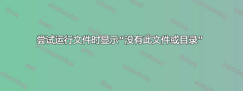 尝试运行文件时显示“没有此文件或目录”