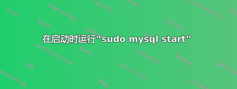 在启动时运行“sudo mysql start”