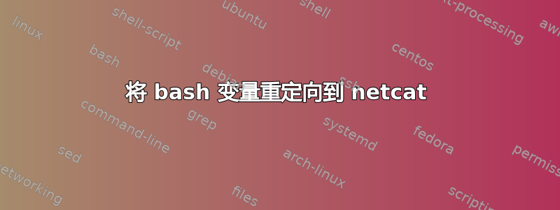 将 bash 变量重定向到 netcat