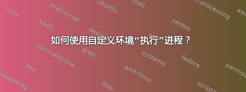 如何使用自定义环境“执行”进程？