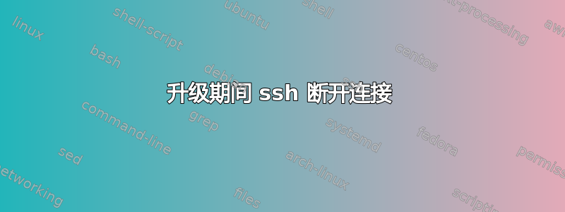 升级期间 ssh 断开连接