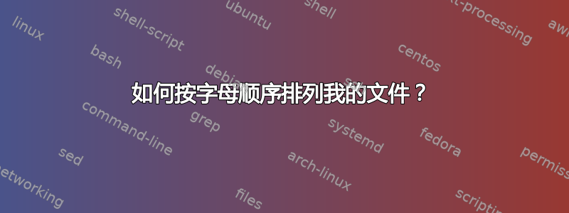 如何按字母顺序排列我的文件？