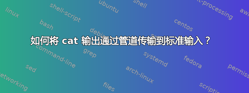 如何将 cat 输出通过管道传输到标准输入？ 