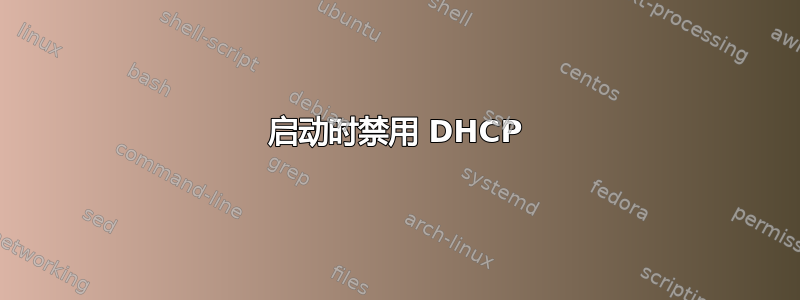 启动时禁用 DHCP