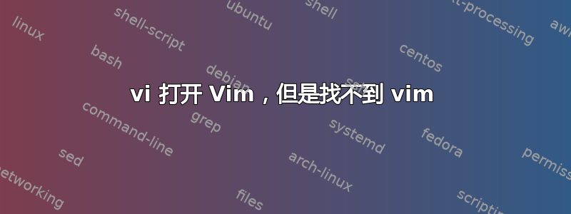 vi 打开 Vim，但是找不到 vim