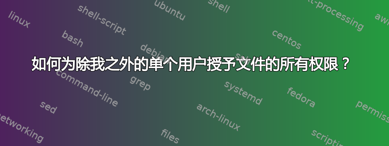 如何为除我之外的单个用户授予文件的所有权限？