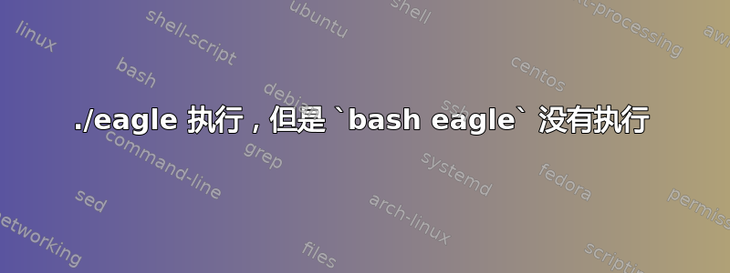 ./eagle 执行，但是 `bash eagle` 没有执行