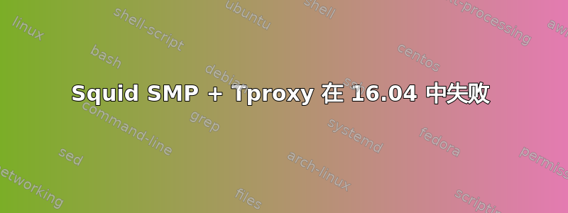 Squid SMP + Tproxy 在 16.04 中失败