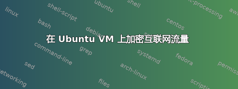 在 Ubuntu VM 上加密互联网流量