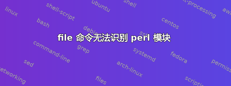 file 命令无法识别 perl 模块