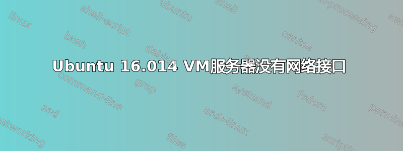 Ubuntu 16.014 VM服务器没有网络接口