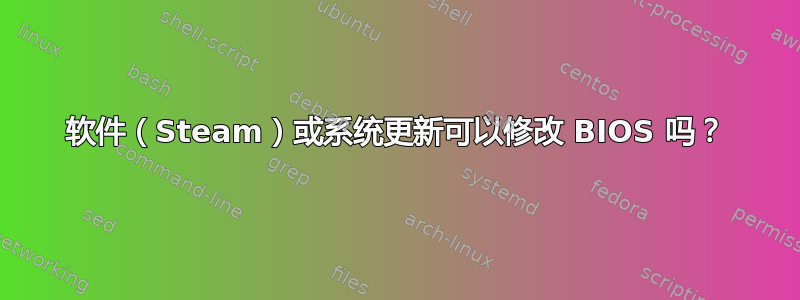 软件（Steam）或系统更新可以修改 BIOS 吗？