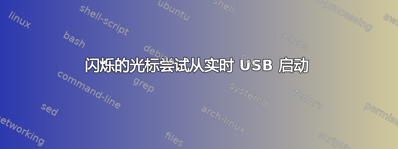 闪烁的光标尝试从实时 USB 启动