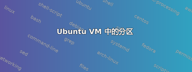 Ubuntu VM 中的分区