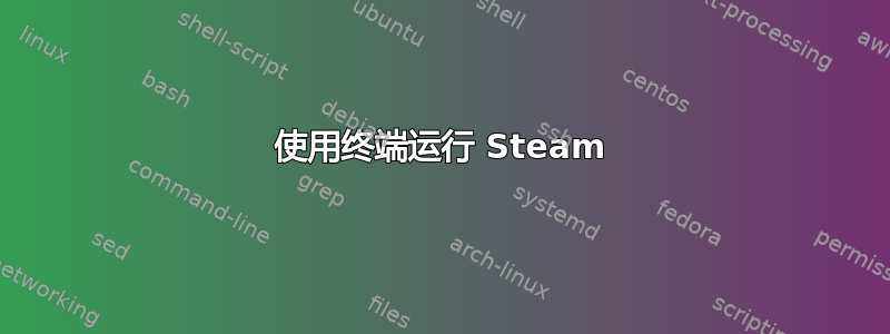 使用终端运行 Steam