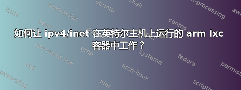 如何让 ipv4/inet 在英特尔主机上运行的 arm lxc 容器中工作？