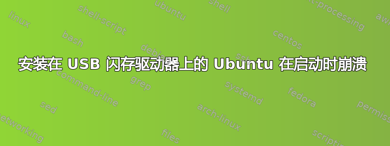 安装在 USB 闪存驱动器上的 Ubuntu 在启动时崩溃