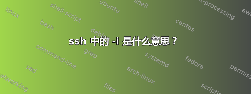 ssh 中的 -i 是什么意思？