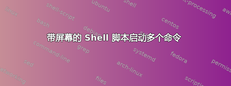 带屏幕的 Shell 脚本启动多个命令