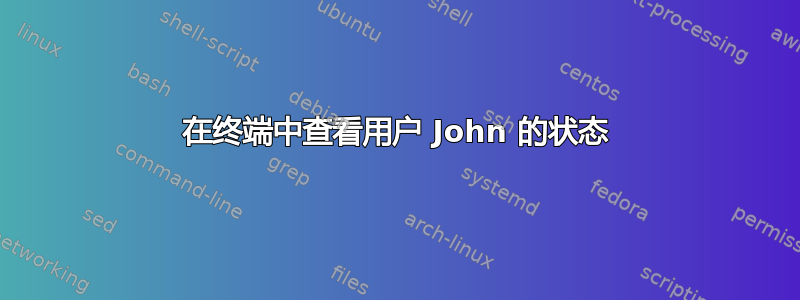 在终端中查看用户 John 的状态