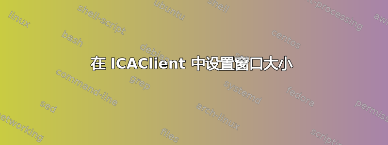 在 ICAClient 中设置窗口大小