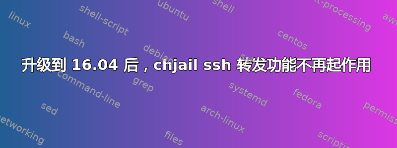 升级到 16.04 后，chjail ssh 转发功能不再起作用