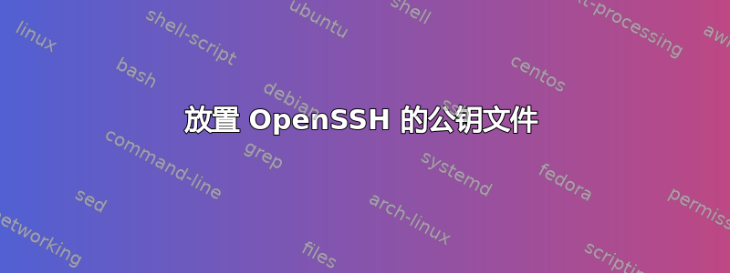 放置 OpenSSH 的公钥文件