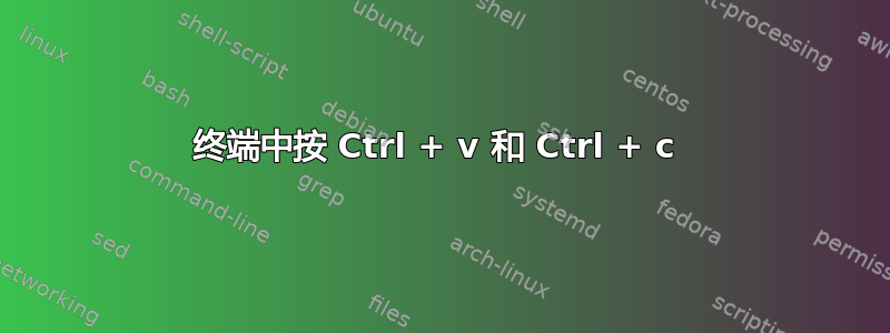 终端中按 Ctrl + v 和 Ctrl + c 