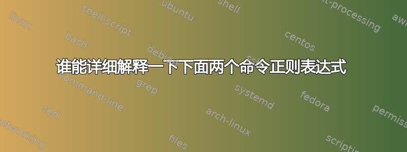 谁能详细解释一下下面两个命令正则表达式