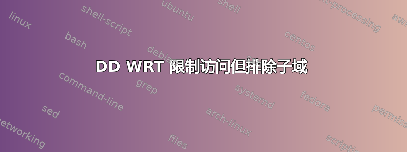 DD WRT 限制访问但排除子域