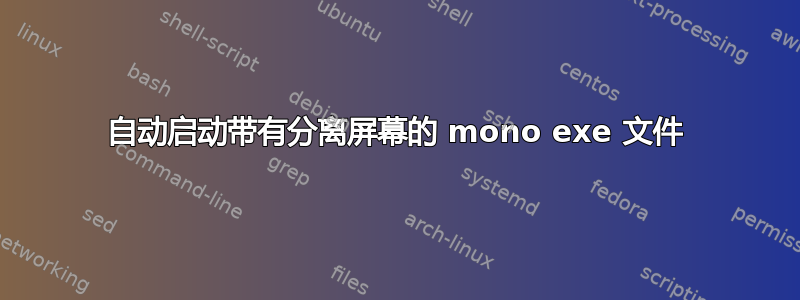 自动启动带有分离屏幕的 mono exe 文件